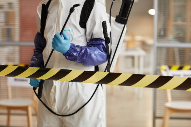 Professional Biohazard technician working in Hockley, TX